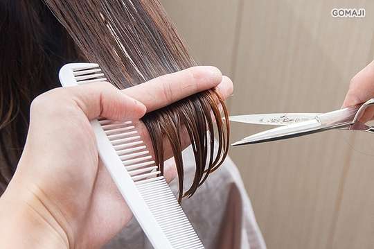 Hi touch 有機概念沙龍