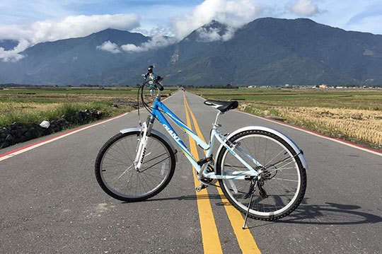 台東池上-華鼎自行車