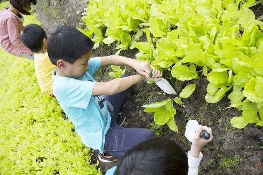 農遊超市Farmtour_Market(電子票券)