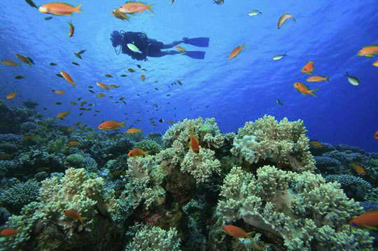 長安潛水俱樂部