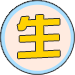 美容舒壓