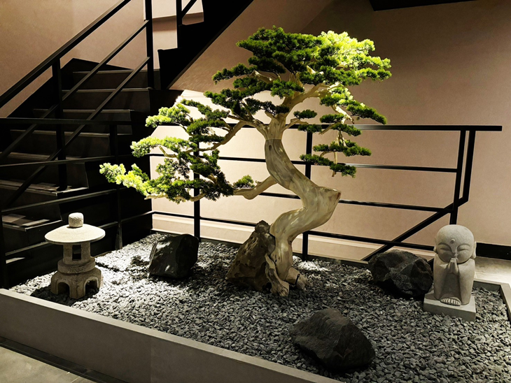 不老松足湯養身行館(台中中清行館)