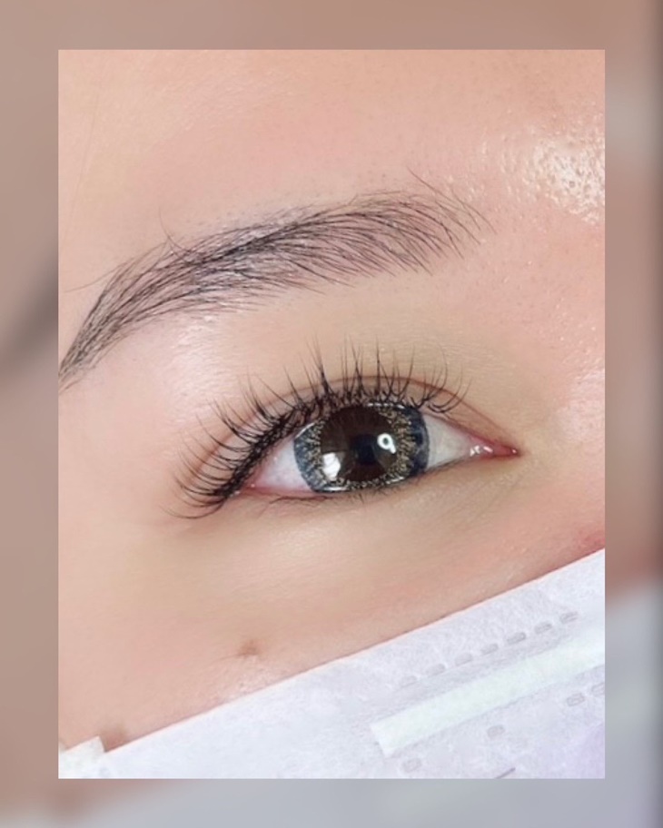 3D/ YY 接到滿睫毛嫁接