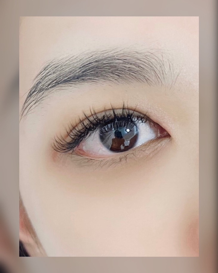 3D/ YY 接到滿睫毛嫁接