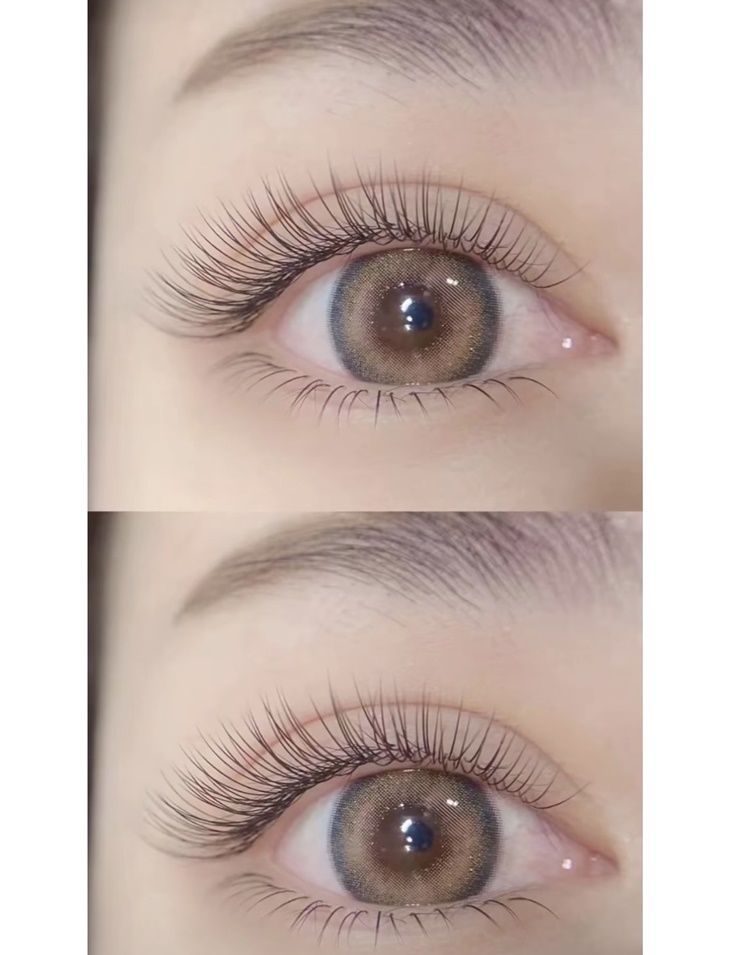 3D 250根睫毛嫁接