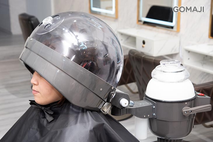 角原蛋修毛鱗片