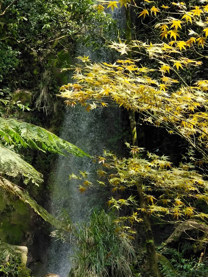 菁山熱門景點輕旅行(涓絲瀑布