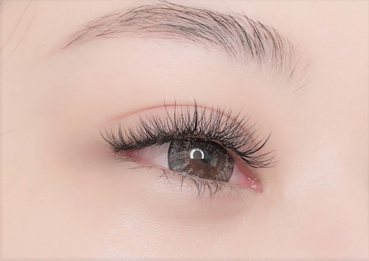 6D輕柔魅力知性400根美睫