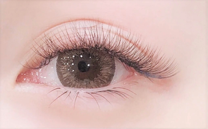 6D輕柔魅力知性400根美睫