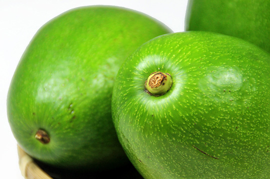 每台斤只要99元起,即可享有南台湾鲜采特级酪梨〈5台斤/10台斤/20台斤