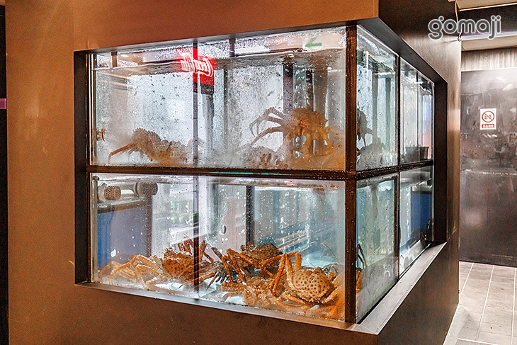 蟹蟹火鍋｜活體帝王蟹 A5和牛(三重店)