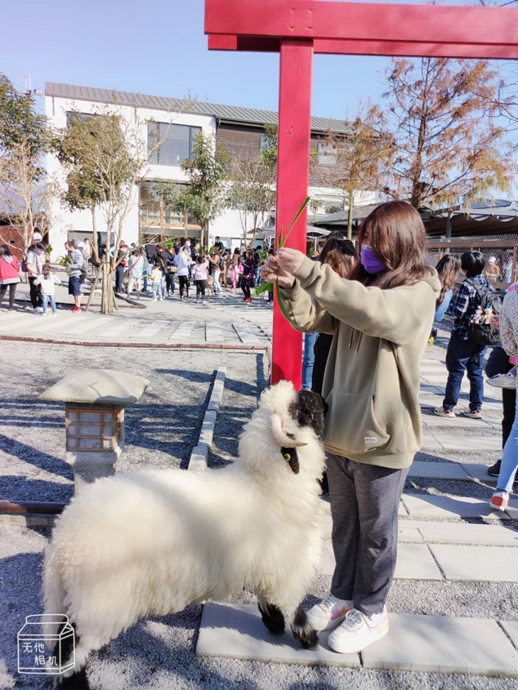 美阿嬤農場