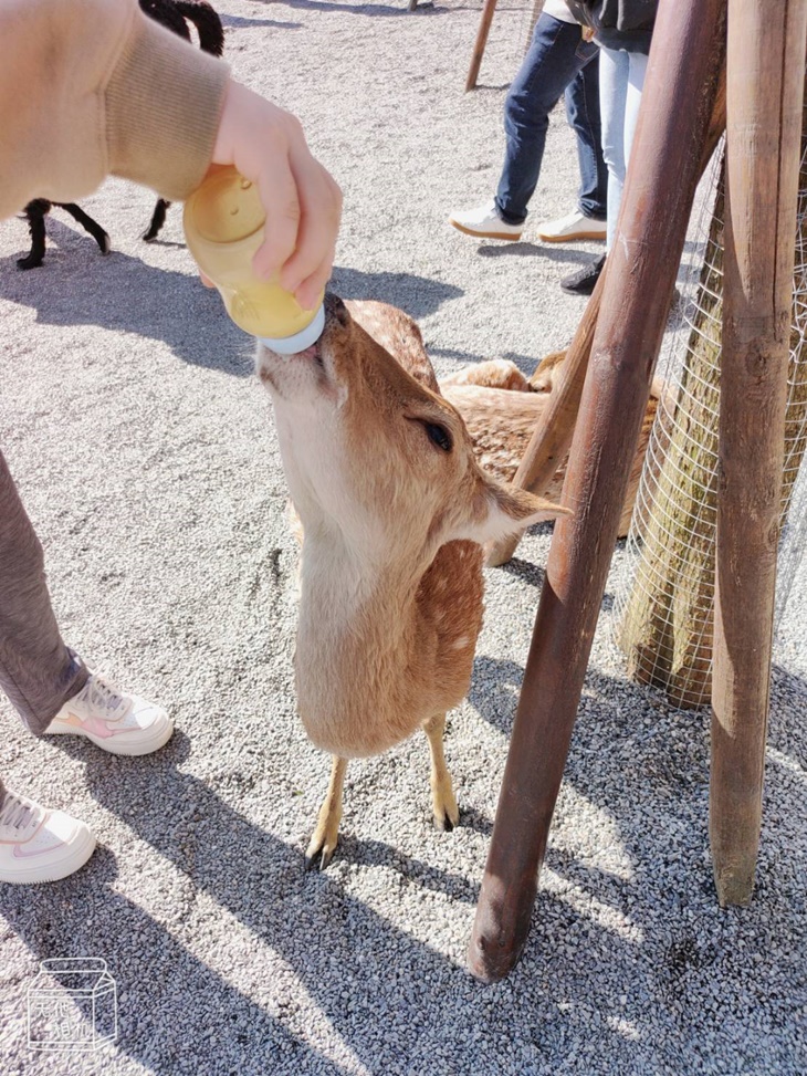 美阿嬤農場