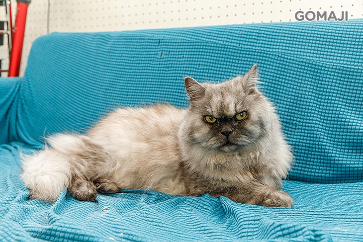 壹間髮型工作室