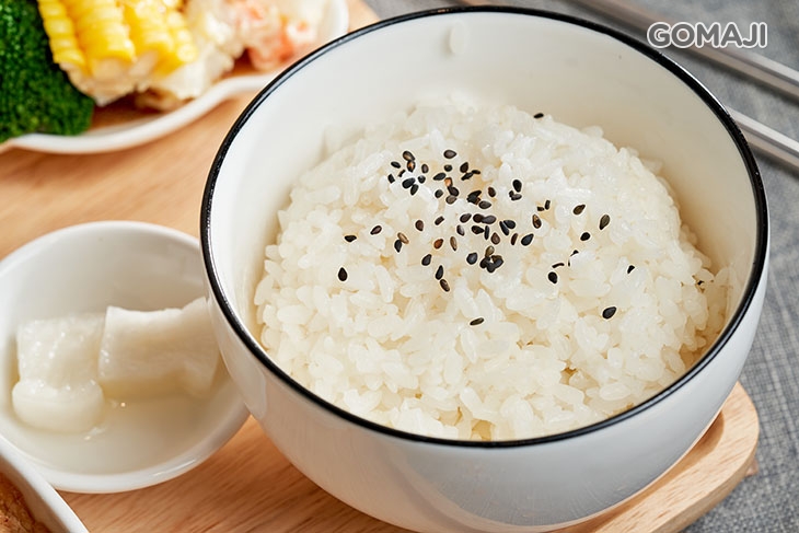 日式燒豬飯
