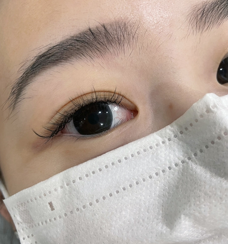 6D多層次嫁接400根專業嫁接