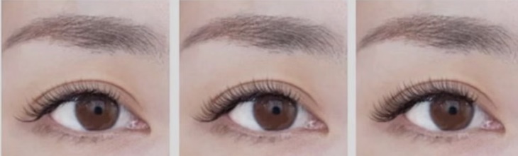 睫毛嫁接