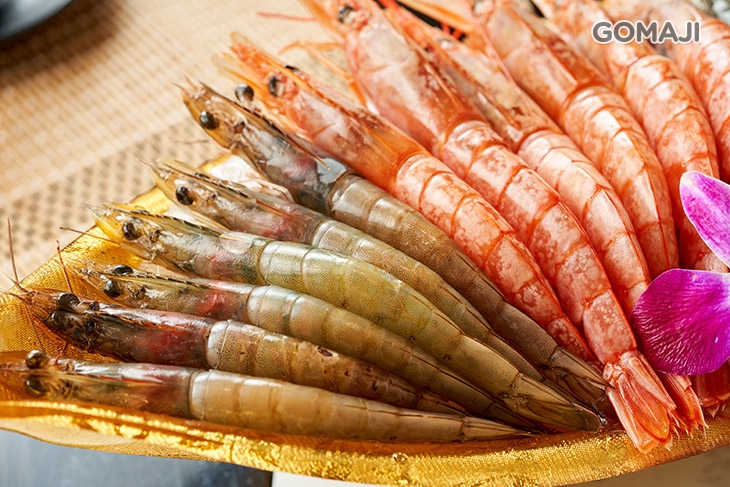 草蝦+白蝦+天使紅蝦