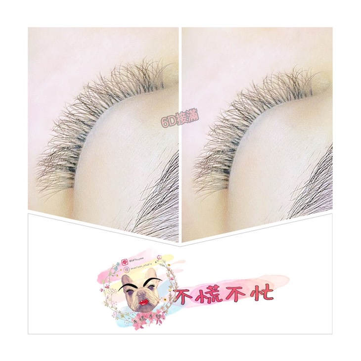 6D女王奢華不限根數嫁接