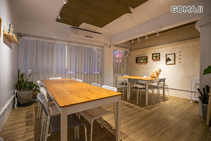 嗨森桌遊x披薩吃到飽