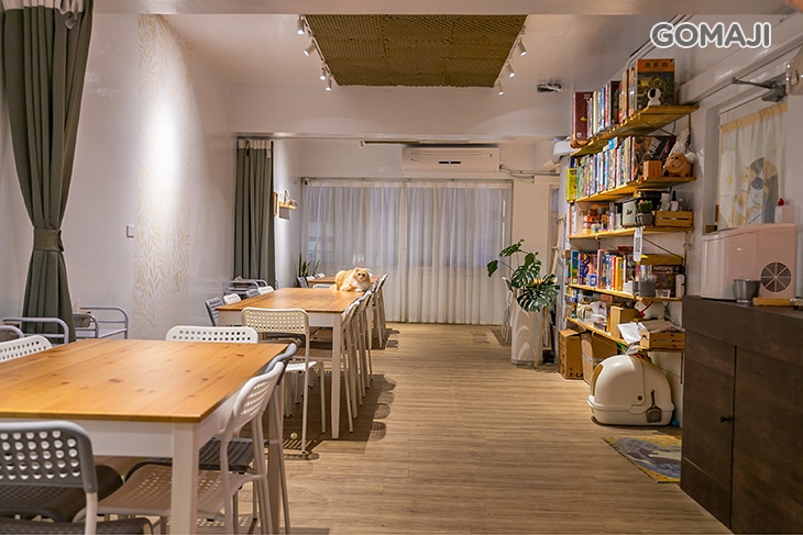 嗨森桌遊x披薩吃到飽