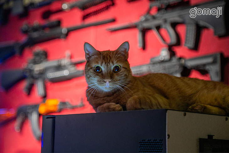 吃嗎小酒館(中壢健行店)