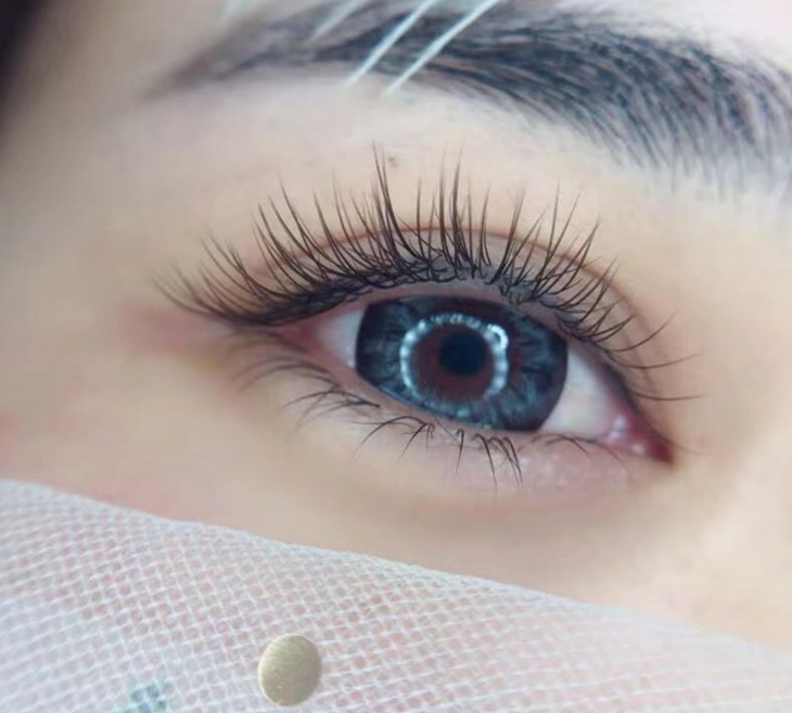 6D多層次韓星優雅感450根睫毛嫁接