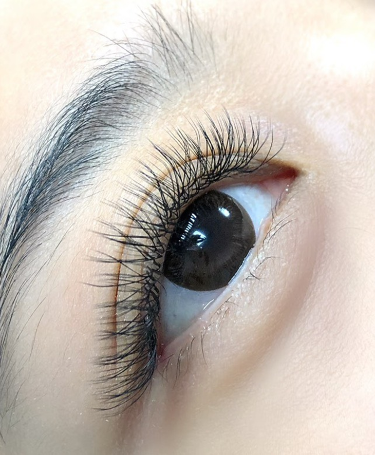 年輕有氣質媽生小絨花250根嫁接