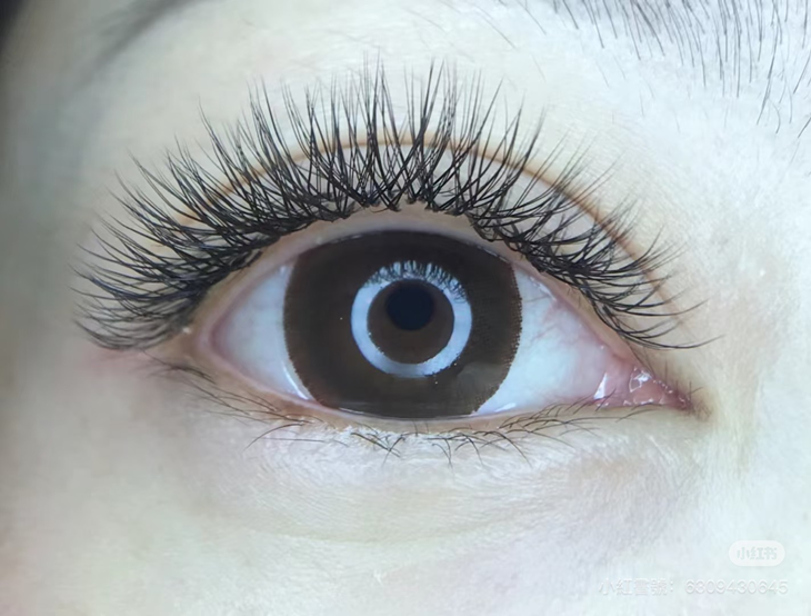 多層次減齡輕泰式仿妝款650根睫毛嫁接