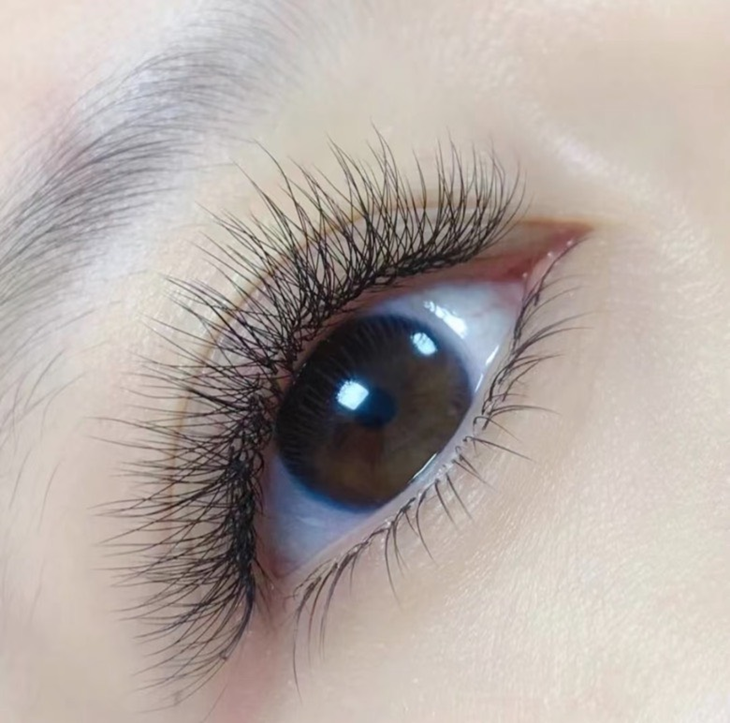 多層次減齡輕泰式仿妝款650根睫毛嫁接