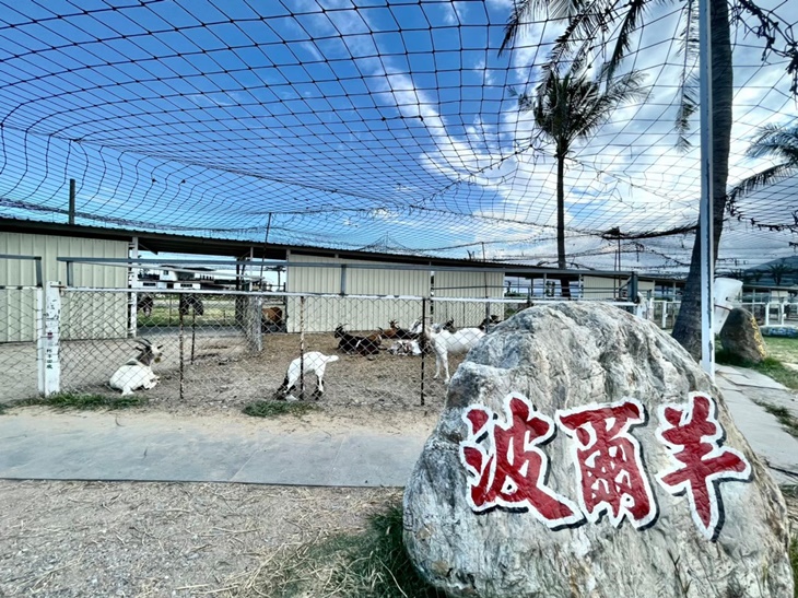 花蓮崇德瑩-聽海童話