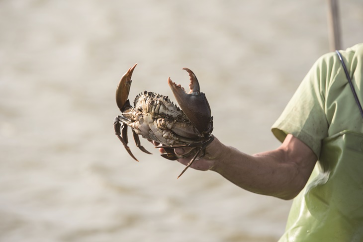 雙人龍虎石斑套餐 + 搏魚體驗