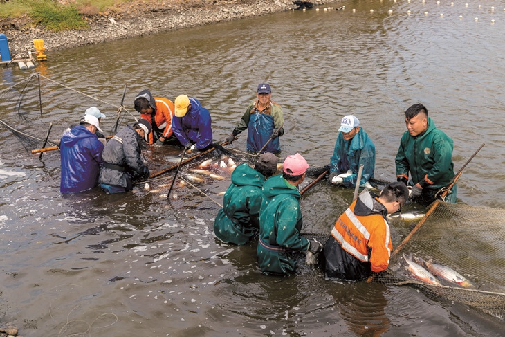 雙人龍虎石斑套餐 + 搏魚體驗