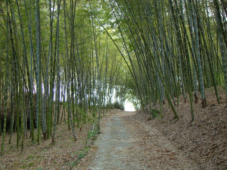 南投武岫休閒農場
