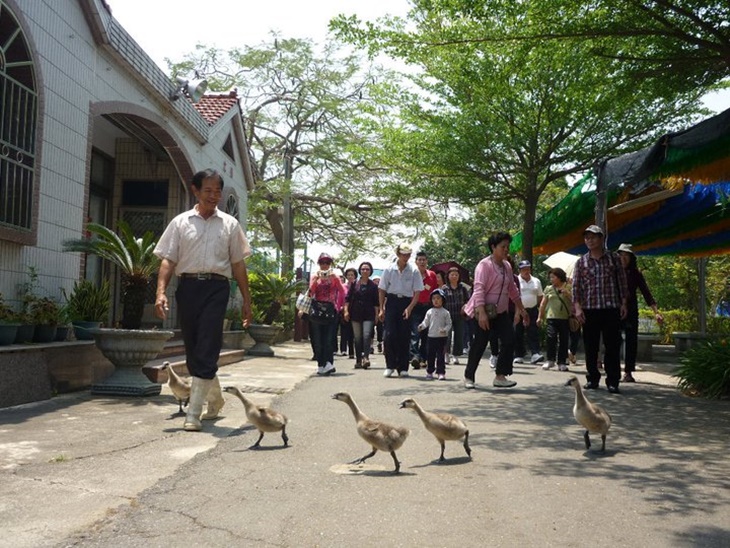 台南鴨莊休閒農場