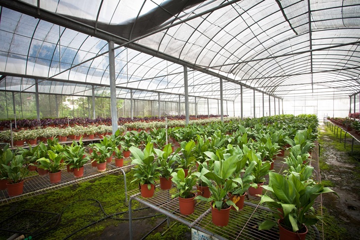農場溫室