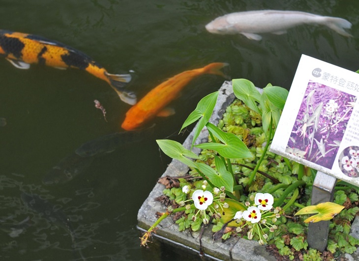 宜蘭勝洋休閒農場