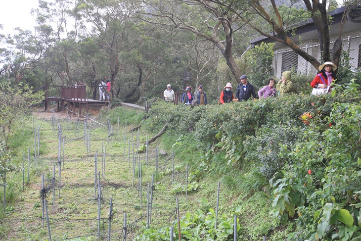 台北莓圃休閒農園