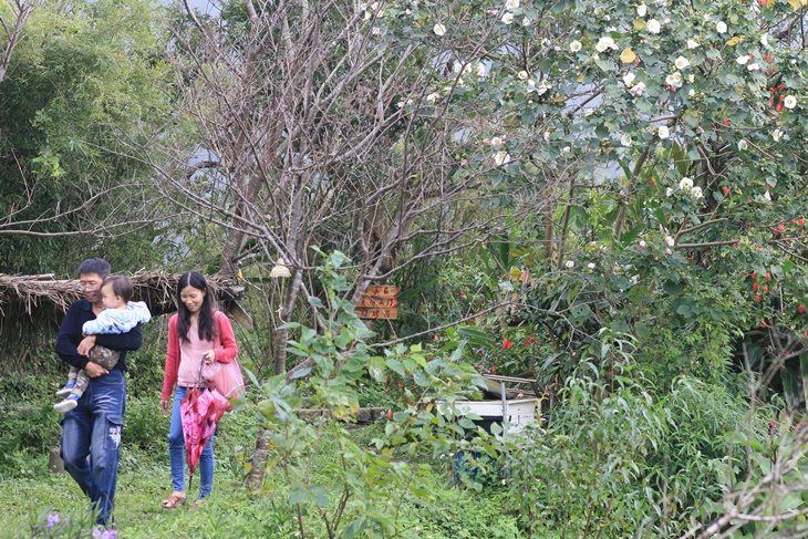 台北莓圃休閒農園