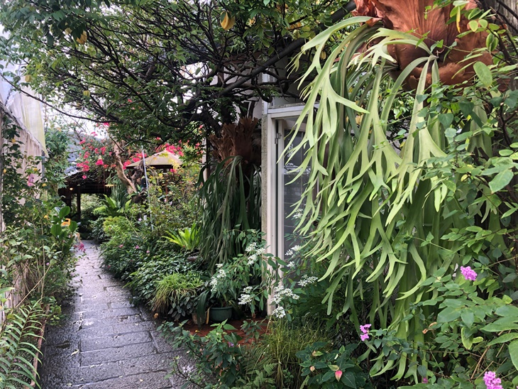台北莓圃休閒農園