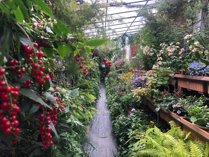 台北莓圃休閒農園