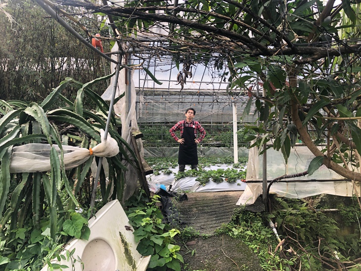 台北莓圃休閒農園