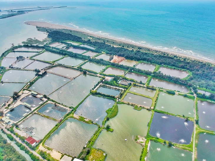 新竹福樂休閒漁村