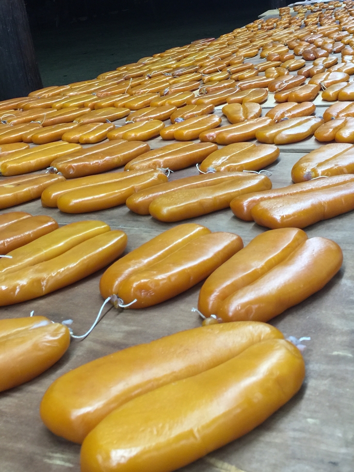 新竹福樂休閒漁村