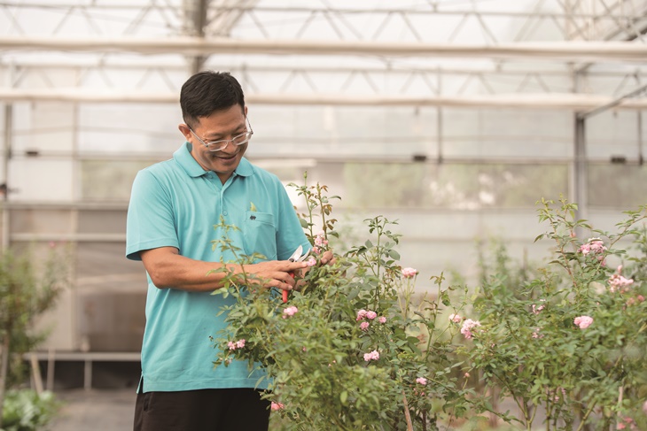 曙光玫瑰有機農場