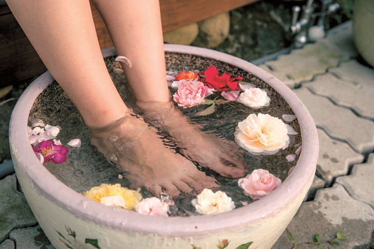 曙光玫瑰有機農場