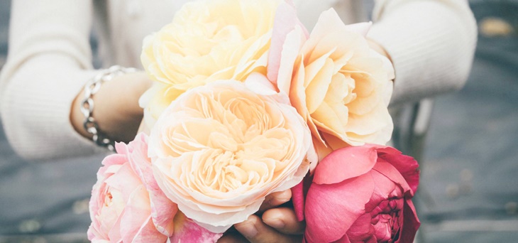 曙光玫瑰有機農場