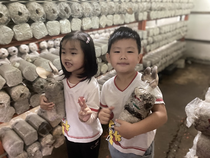 DIY菇類太空包種菇體驗