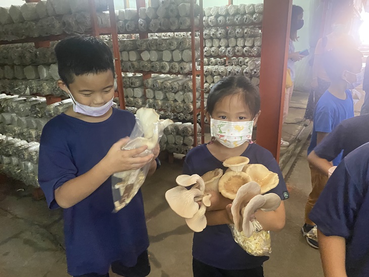 DIY菇類太空包種菇體驗