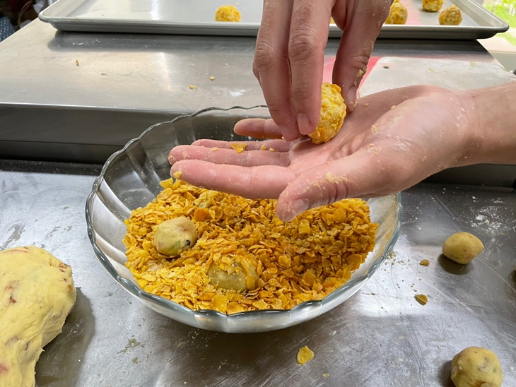 桃園-月眉85莊園